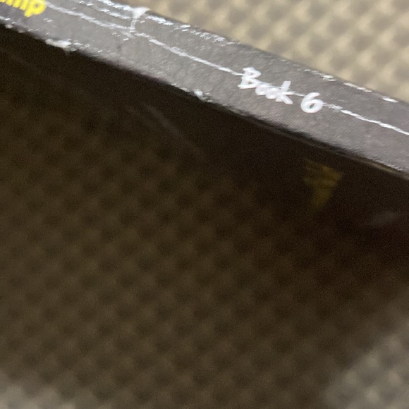 Diary of a Minecraft zombie: Book 6 zombie goes to camp - Picture 6 of 10